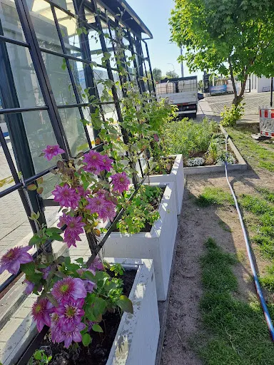 Kiełkujące Kłopoty - usługi ogrodnicze